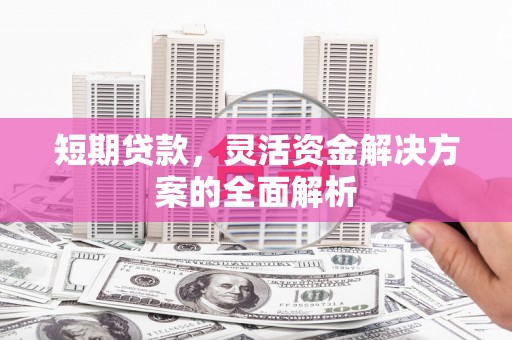 瑞芳短期贷款，灵活资金解决方案的全面解析