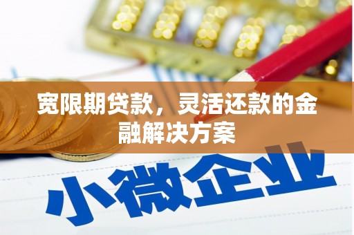 瑞芳宽限期贷款，灵活还款的金融解决方案