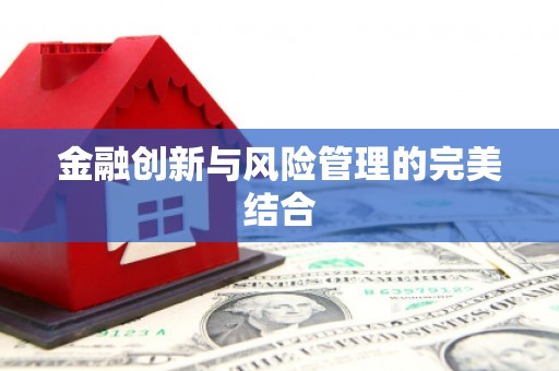 瑞芳金融创新与风险管理的完美结合