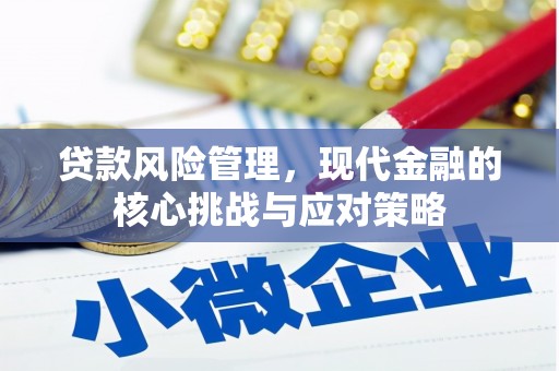瑞芳贷款风险管理，现代金融的核心挑战与应对策略