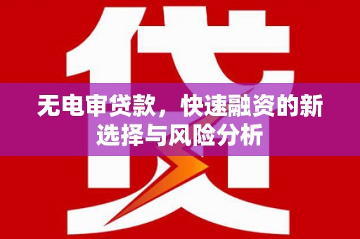 瑞芳无电审贷款，快速融资的新选择与风险分析