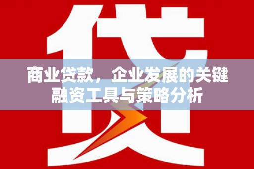 瑞芳商业贷款，企业发展的关键融资工具与策略分析