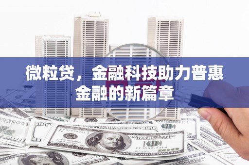 瑞芳微粒贷，金融科技助力普惠金融的新篇章
