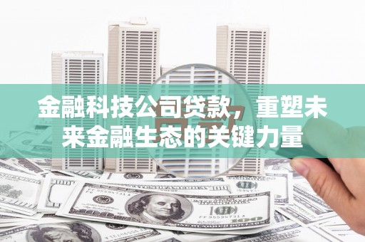 瑞芳金融科技公司贷款，重塑未来金融生态的关键力量