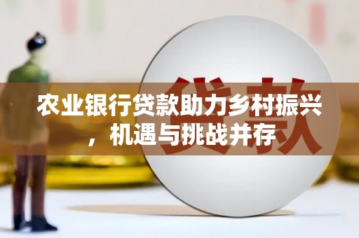 瑞芳农业银行贷款助力乡村振兴，机遇与挑战并存