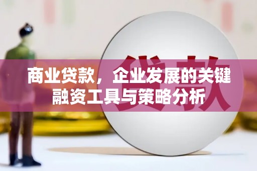 瑞芳商业贷款，企业发展的关键融资工具与策略分析