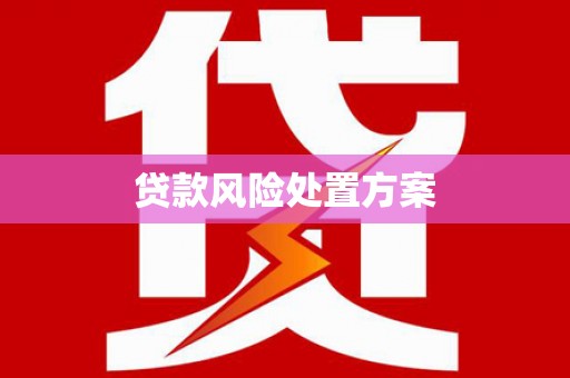 瑞芳贷款风险处置方案
