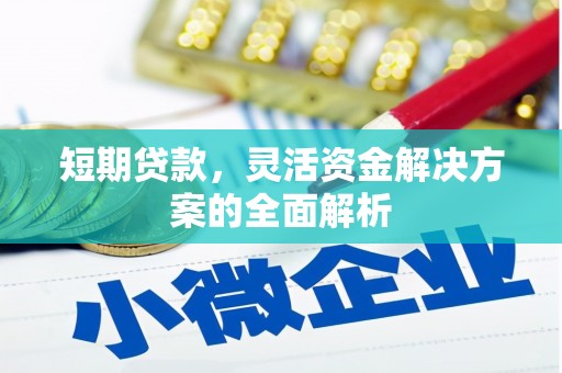 瑞芳短期贷款，灵活资金解决方案的全面解析