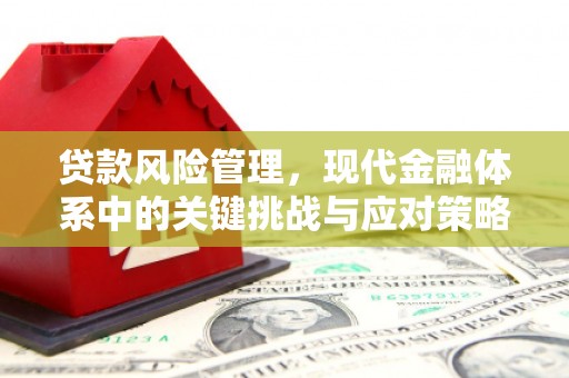 瑞芳贷款风险管理，现代金融体系中的关键挑战与应对策略