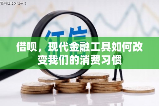 瑞芳借呗，现代金融工具如何改变我们的消费习惯