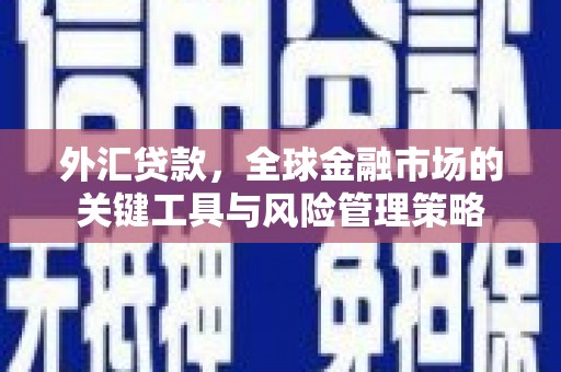 瑞芳外汇贷款，全球金融市场的关键工具与风险管理策略