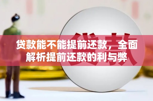 瑞芳贷款能不能提前还款，全面解析提前还款的利与弊