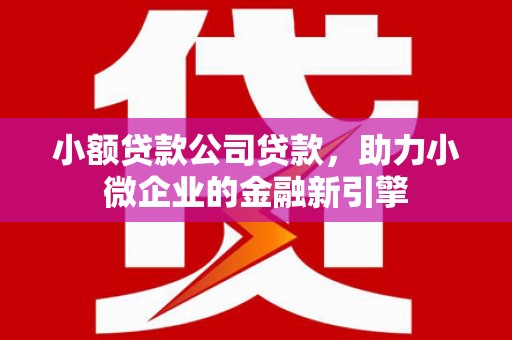 瑞芳小额贷款公司贷款，助力小微企业的金融新引擎