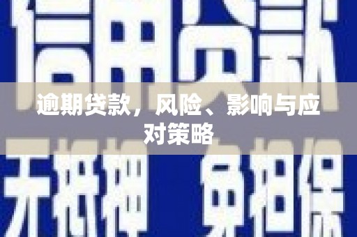 瑞芳逾期贷款，风险、影响与应对策略