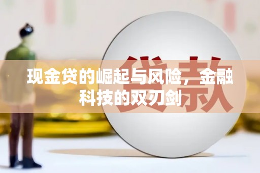 瑞芳现金贷的崛起与风险，金融科技的双刃剑