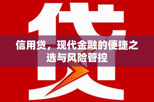 瑞芳信用贷，现代金融的便捷之选与风险管控