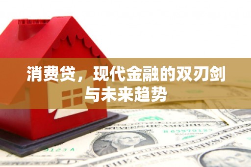 瑞芳消费贷，现代金融的双刃剑与未来趋势