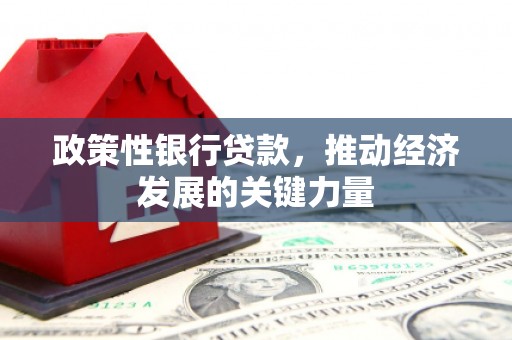 瑞芳政策性银行贷款，推动经济发展的关键力量