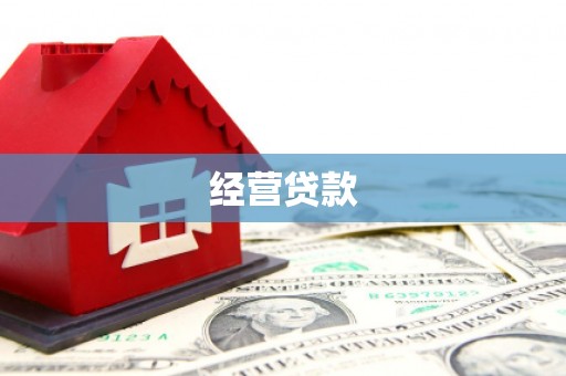 瑞芳经营贷款