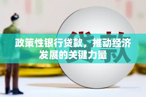 瑞芳政策性银行贷款，推动经济发展的关键力量