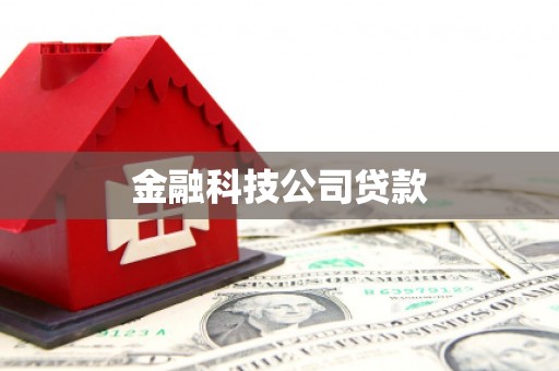 瑞芳金融科技公司贷款