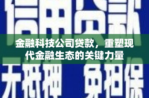 瑞芳金融科技公司贷款，重塑现代金融生态的关键力量