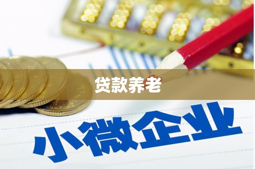 瑞芳贷款养老