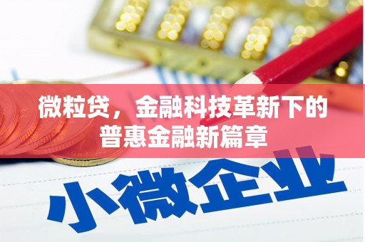 瑞芳微粒贷，金融科技革新下的普惠金融新篇章