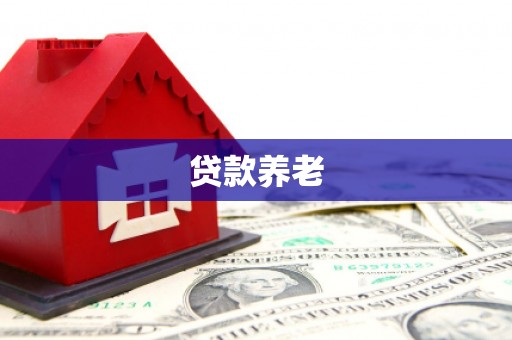 瑞芳贷款养老