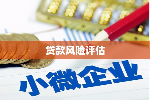 瑞芳贷款风险评估