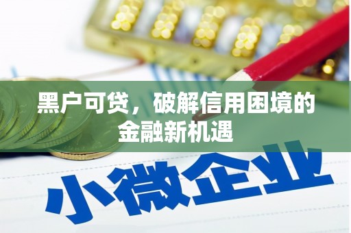 瑞芳黑户可贷，破解信用困境的金融新机遇