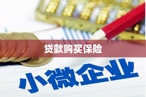 瑞芳贷款购买保险