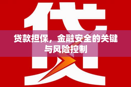 瑞芳贷款担保，金融安全的关键与风险控制