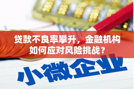 瑞芳贷款不良率攀升，金融机构如何应对风险挑战？