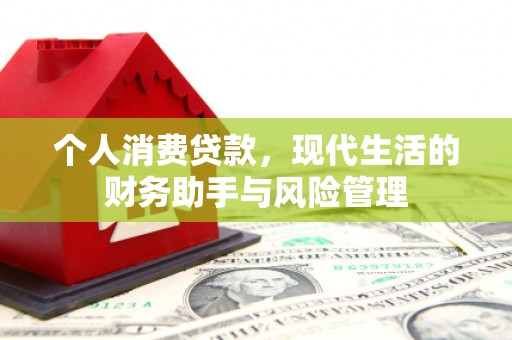 瑞芳个人消费贷款，现代生活的财务助手与风险管理