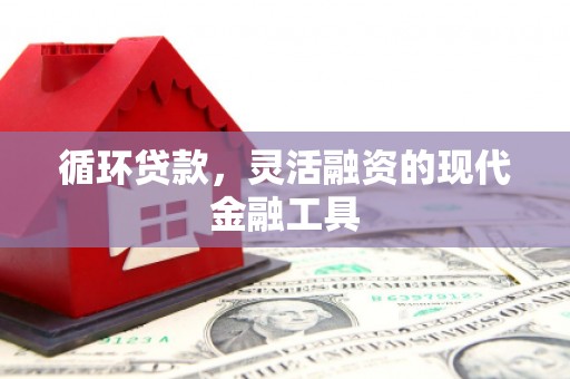 瑞芳循环贷款，灵活融资的现代金融工具