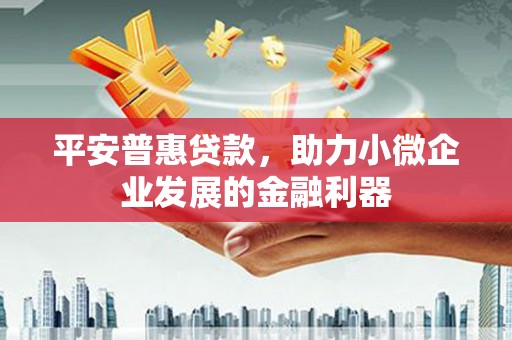 瑞芳平安普惠贷款，助力小微企业发展的金融利器