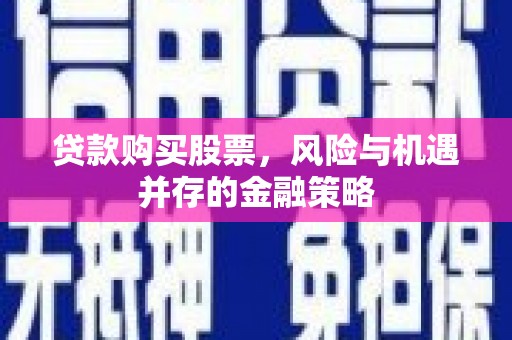 瑞芳贷款购买股票，风险与机遇并存的金融策略
