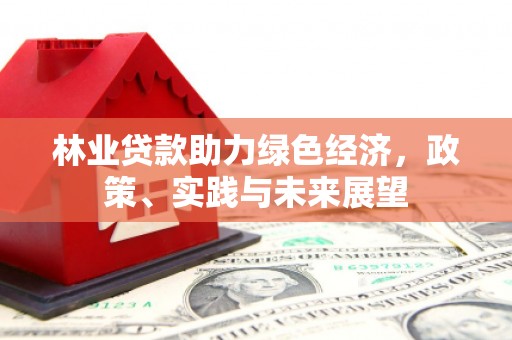 瑞芳林业贷款助力绿色经济，政策、实践与未来展望