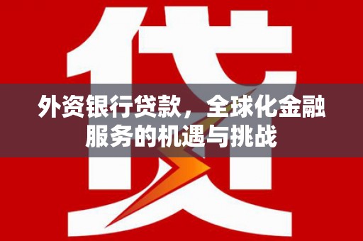 瑞芳外资银行贷款，全球化金融服务的机遇与挑战