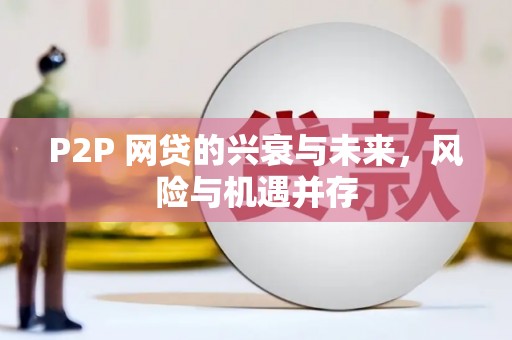 瑞芳P2P 网贷的兴衰与未来，风险与机遇并存