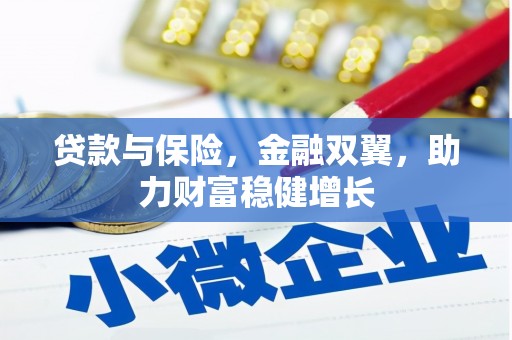 瑞芳贷款与保险，金融双翼，助力财富稳健增长