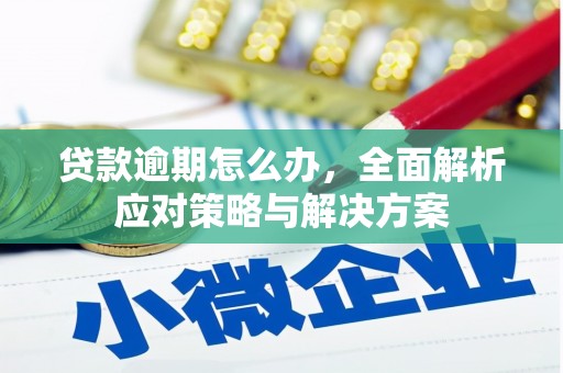 瑞芳贷款逾期怎么办，全面解析应对策略与解决方案