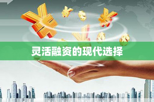 瑞芳灵活融资的现代选择