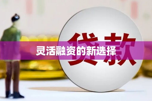 瑞芳灵活融资的新选择