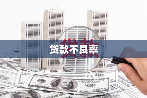 瑞芳贷款不良率