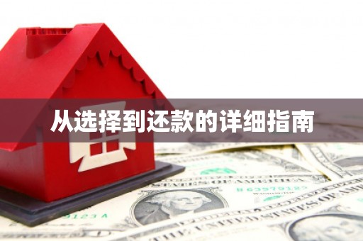 瑞芳从选择到还款的详细指南