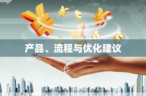 瑞芳产品、流程与优化建议