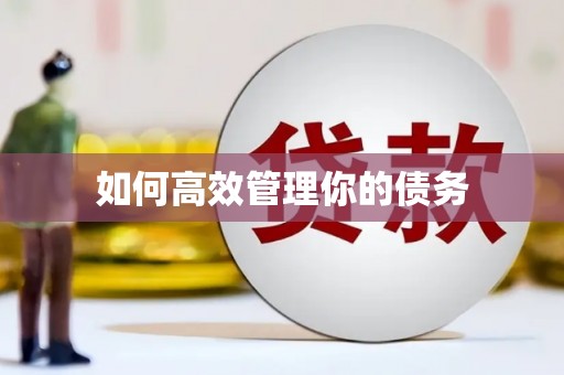 瑞芳如何高效管理你的债务