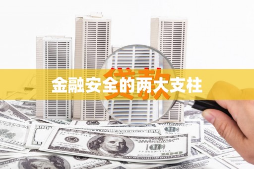 瑞芳金融安全的两大支柱